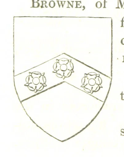 An illustration from Magna Britannia; being a concise topographical account of the several counties of Great Britain. [With copious illustrations.] vol. 1-6. L.P, 1806, leaf 174