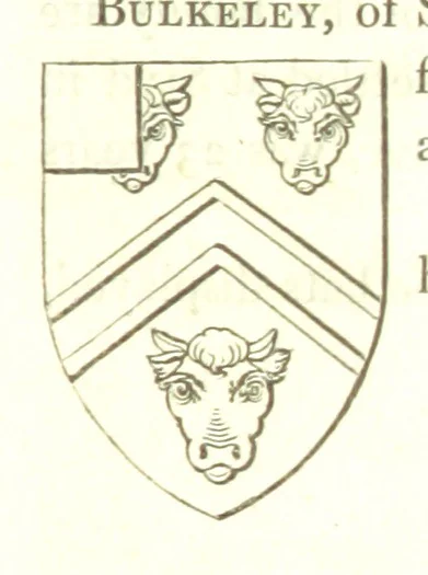 An illustration from Magna Britannia; being a concise topographical account of the several counties of Great Britain. [With copious illustrations.] vol. 1-6. L.P, 1806, leaf 175