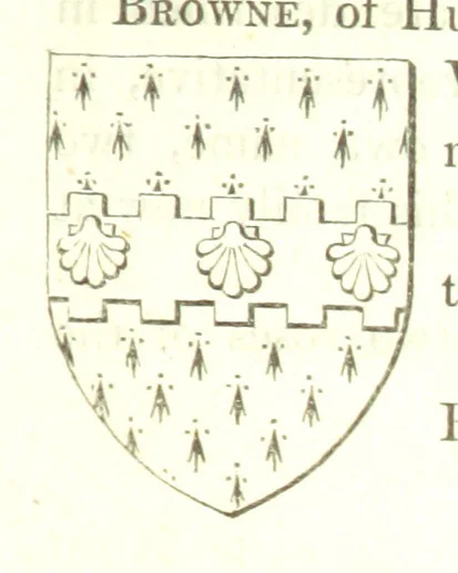 An illustration from Magna Britannia; being a concise topographical account of the several counties of Great Britain. [With copious illustrations.] vol. 1-6. L.P, 1806, leaf 175