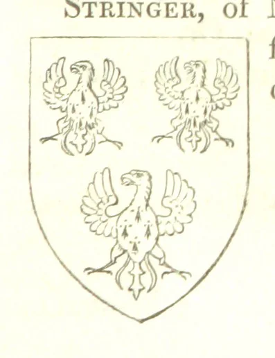 An illustration from Magna Britannia; being a concise topographical account of the several counties of Great Britain. [With copious illustrations.] vol. 1-6. L.P, 1806, leaf 183