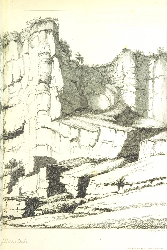 An illustration from Magna Britannia; being a concise topographical account of the several counties of Great Britain. [With copious illustrations.] vol. 1-6. L.P, 1806, leaf 199
