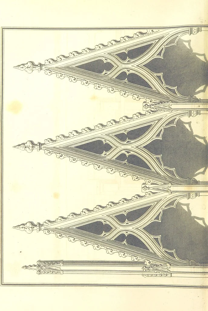 An illustration from Magna Britannia; being a concise topographical account of the several counties of Great Britain. [With copious illustrations.] vol. 1-6. L.P, 1806, leaf 290