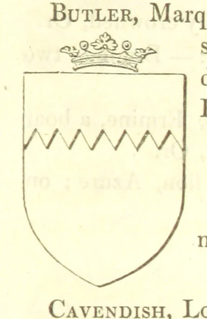 An illustration from Magna Britannia; being a concise topographical account of the several counties of Great Britain. [With copious illustrations.] vol. 1-6. L.P, 1806, leaf 73
