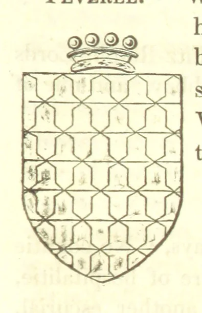 An illustration from Magna Britannia; being a concise topographical account of the several counties of Great Britain. [With copious illustrations.] vol. 1-6. L.P, 1806, leaf 79