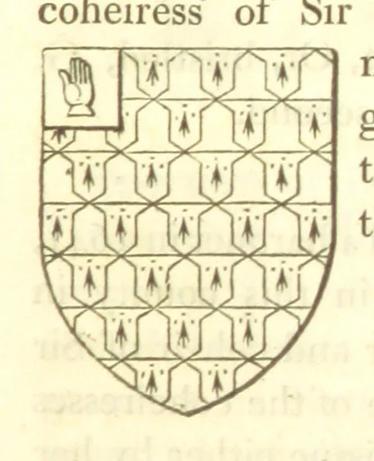An illustration from Magna Britannia; being a concise topographical account of the several counties of Great Britain. [With copious illustrations.] vol. 1-6. L.P, 1806, leaf 81