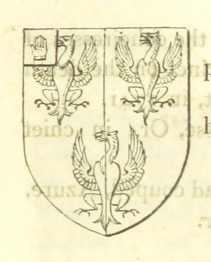 An illustration from Magna Britannia; being a concise topographical account of the several counties of Great Britain. [With copious illustrations.] vol. 1-6. L.P, 1806, leaf 91