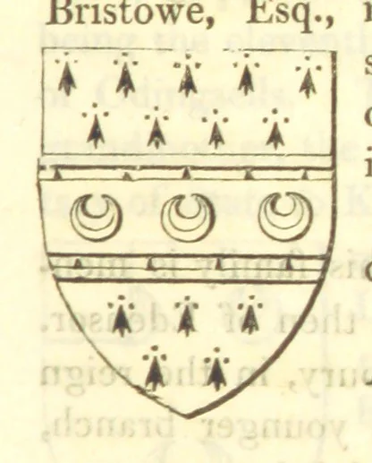An illustration from Magna Britannia; being a concise topographical account of the several counties of Great Britain. [With copious illustrations.] vol. 1-6. L.P, 1806, leaf 97