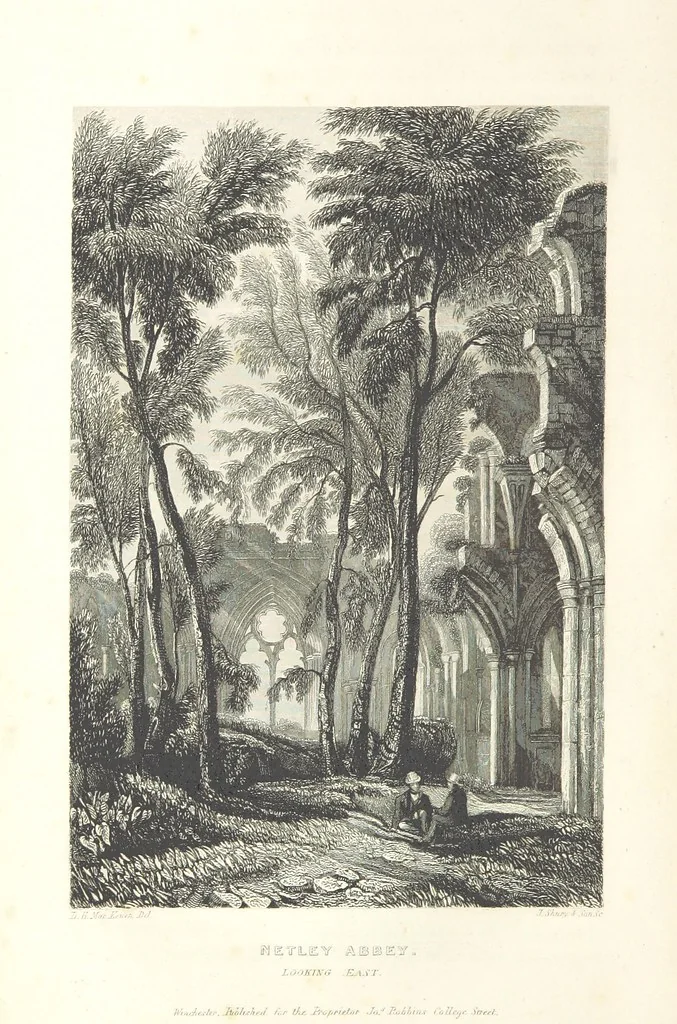 An illustration from Hampshire: its past and present condition and future prospects, 1838, leaf 234