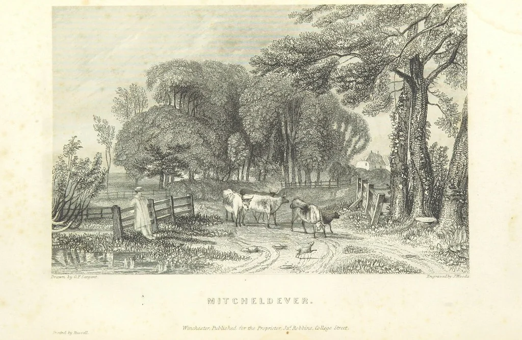 An illustration from Hampshire: its past and present condition and future prospects, 1838, leaf 398