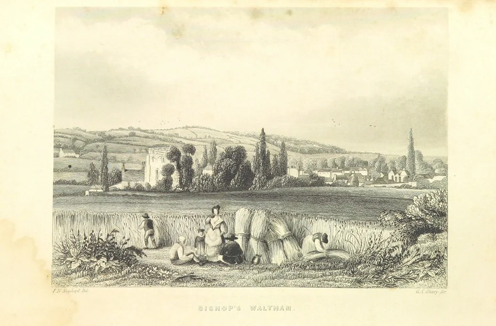 An illustration from Hampshire: its past and present condition and future prospects, 1838, leaf 211