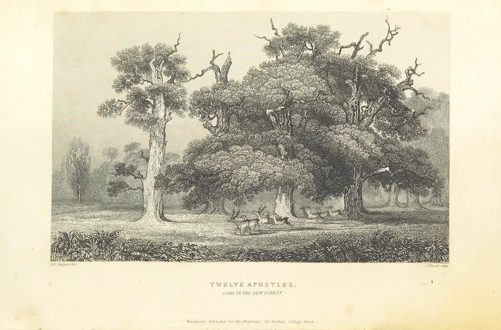 An illustration from Hampshire: its past and present condition and future prospects, 1838, leaf 290