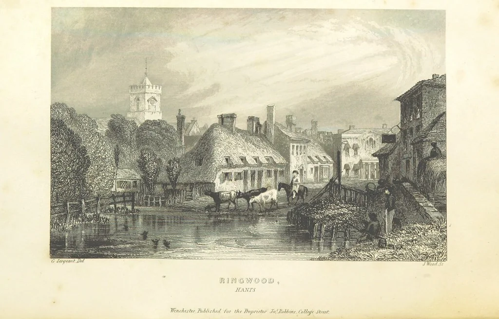 An illustration from Hampshire: its past and present condition and future prospects, 1838, leaf 342