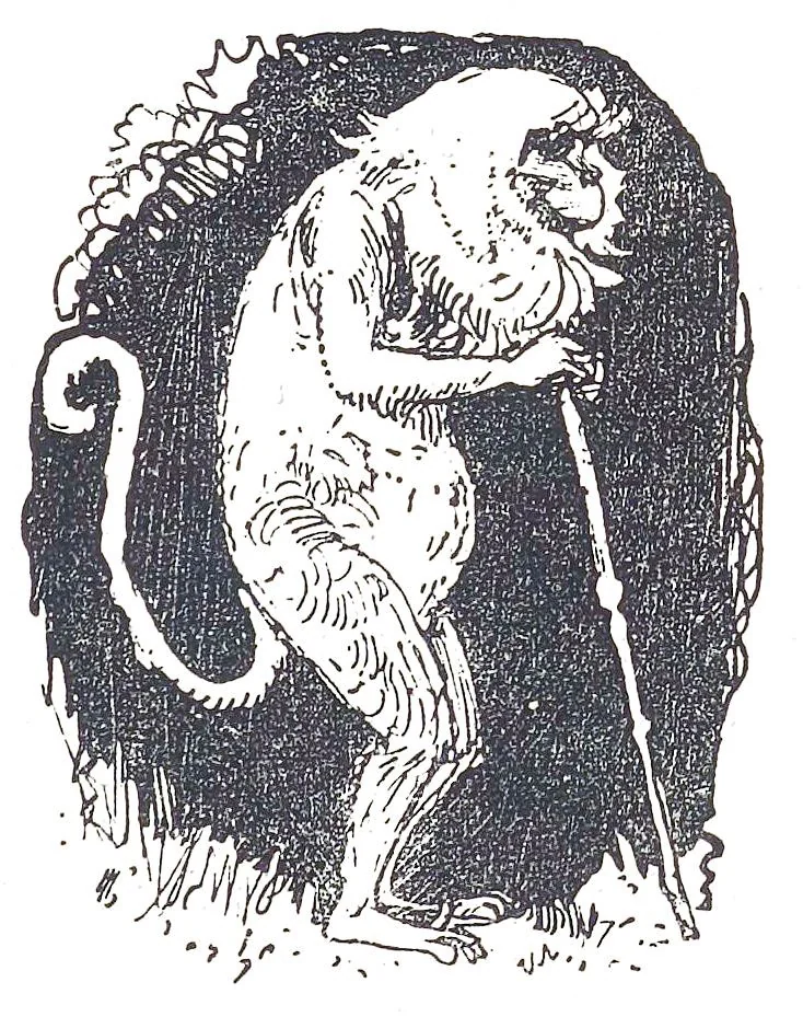 An illustration from Albert Robida - Voyages très extraordinaires de Saturnin Farandoul, 1879 page 023, 1879