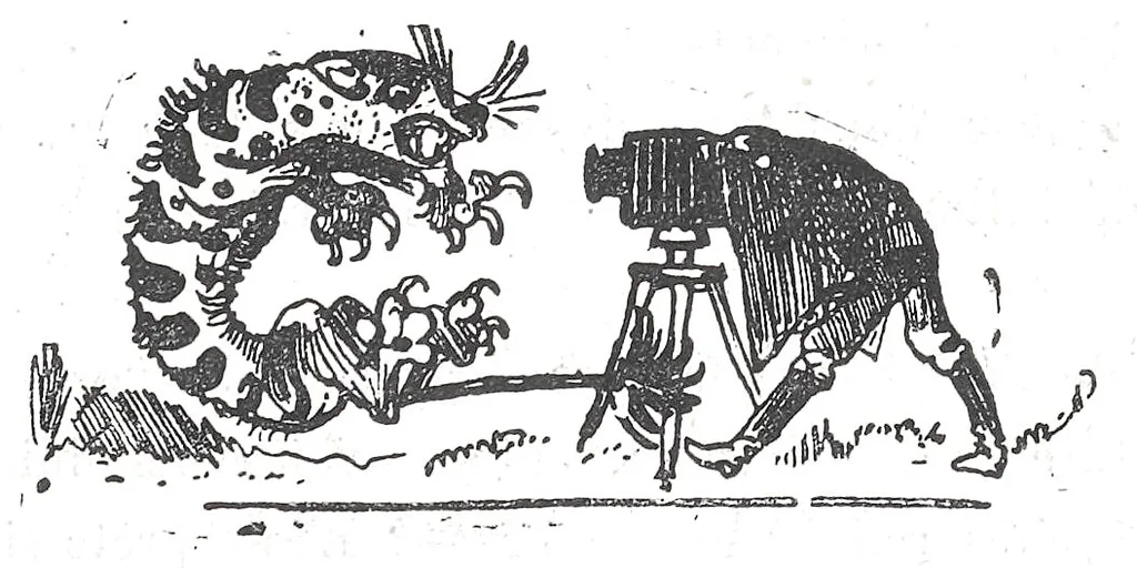 An illustration from Albert Robida - Voyages très extraordinaires de Saturnin Farandoul, 1879 page 525, 1879