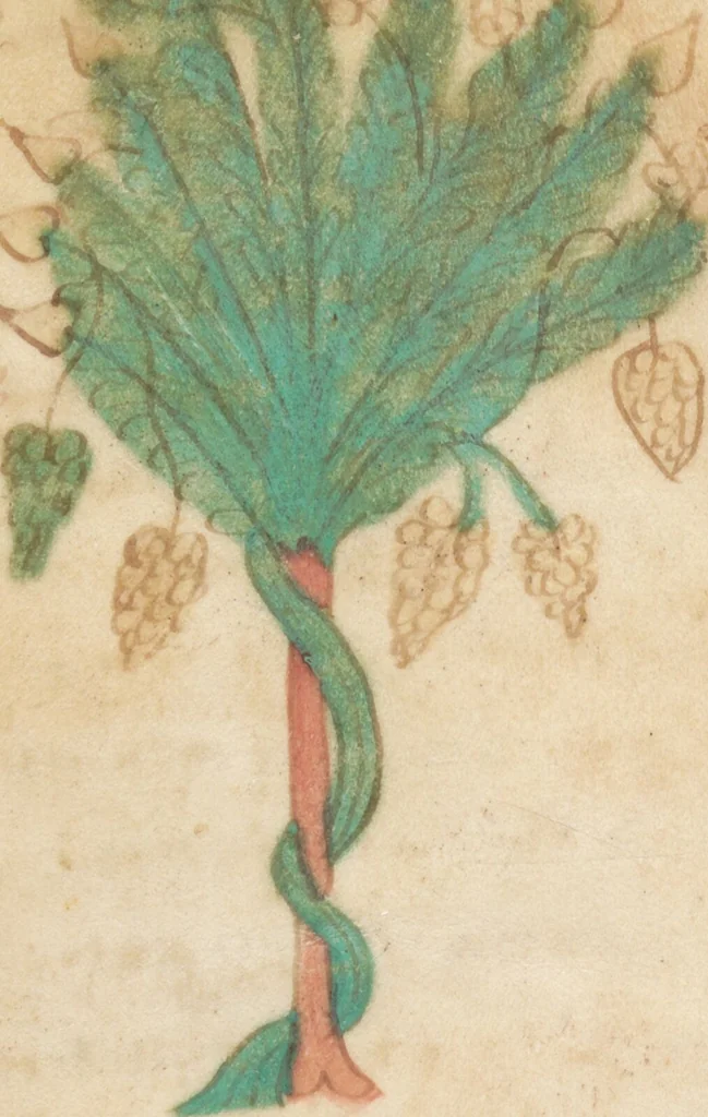 An illustration from Petrus de Ebulo: Liber ad honorem Augusti, lat., 1195, leaf 59
