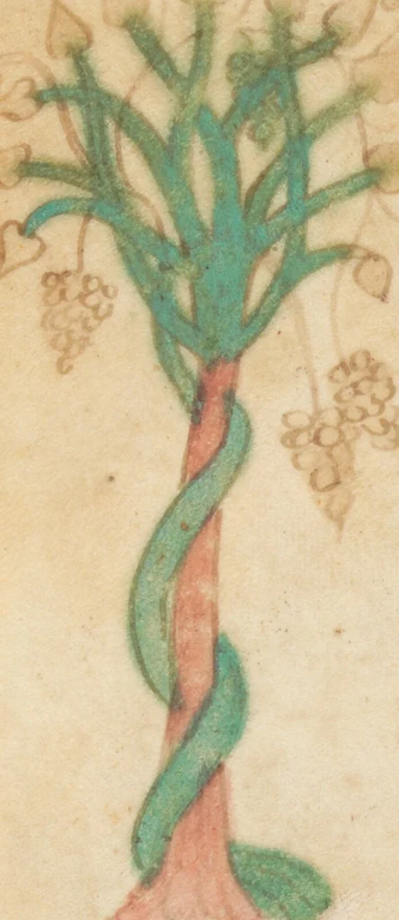 An illustration from Petrus de Ebulo: Liber ad honorem Augusti, lat., 1195, leaf 59