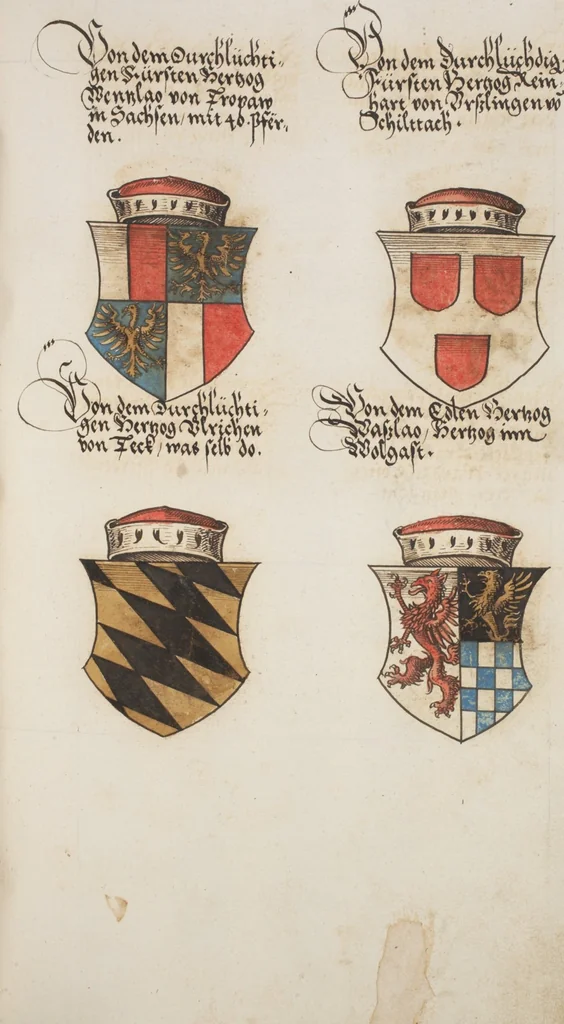 An illustration from Silbereisen: Chronicon Helvetiae, Part I, 1576, leaf 595