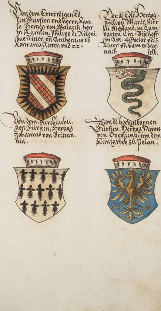 An illustration from Silbereisen: Chronicon Helvetiae, Part I, 1576, leaf 597