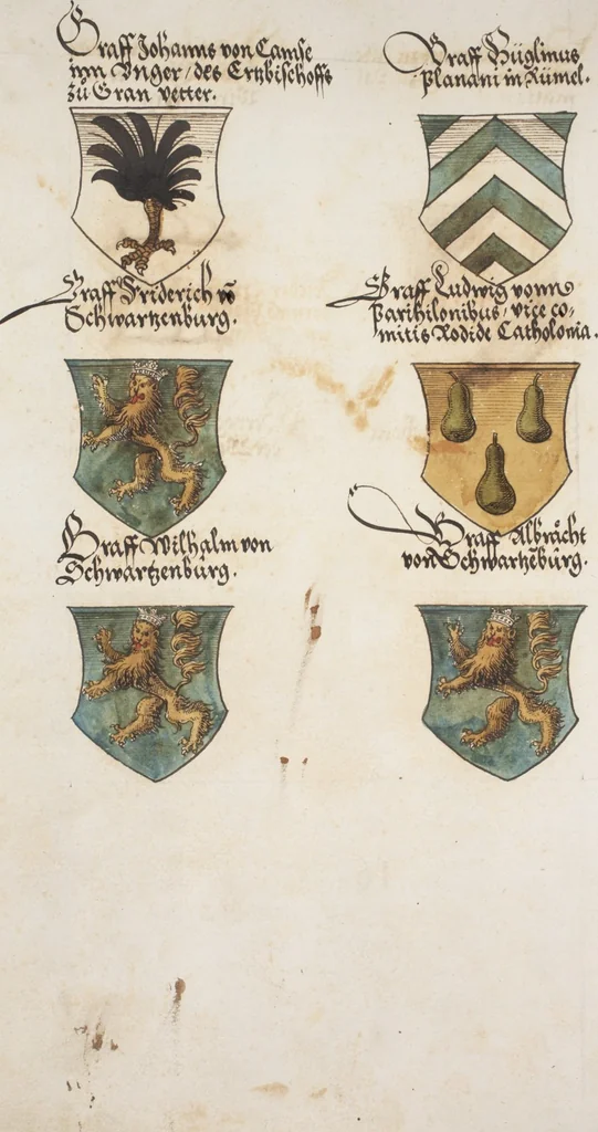 An illustration from Silbereisen: Chronicon Helvetiae, Part I, 1576, leaf 618