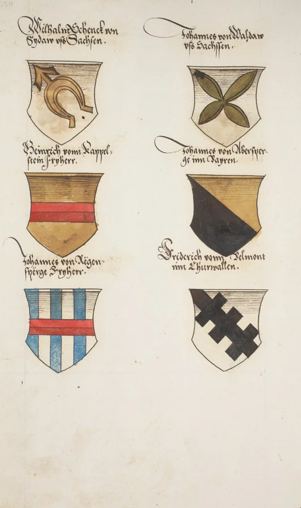 An illustration from Silbereisen: Chronicon Helvetiae, Part I, 1576, leaf 634