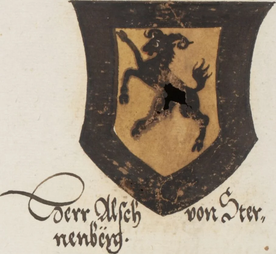 An illustration from Silbereisen: Chronicon Helvetiae, Part I, 1576, leaf 641