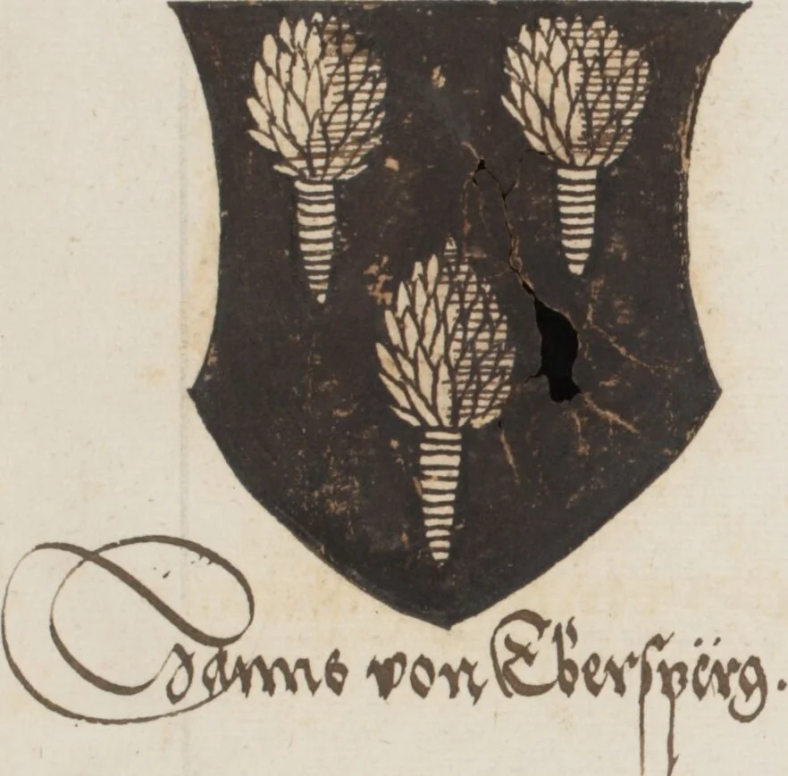 An illustration from Silbereisen: Chronicon Helvetiae, Part I, 1576, leaf 655