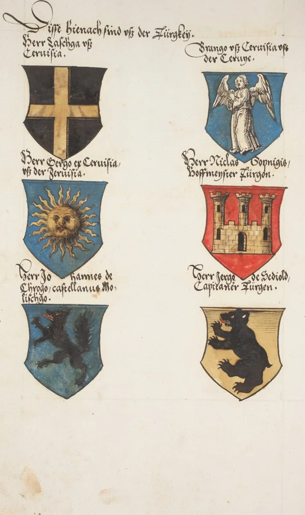 An illustration from Silbereisen: Chronicon Helvetiae, Part I, 1576, leaf 674