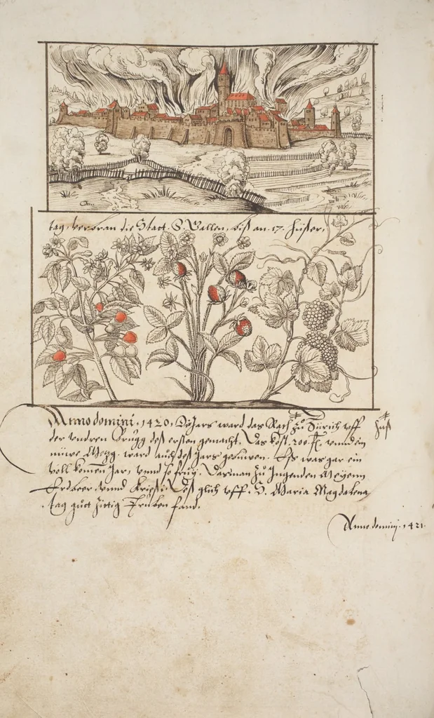 An illustration from Silbereisen: Chronicon Helvetiae, Part I, 1576, leaf 722