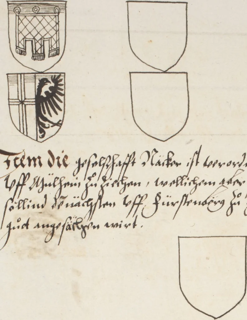 An illustration from Silbereisen: Chronicon Helvetiae, Part I, 1576, leaf 808