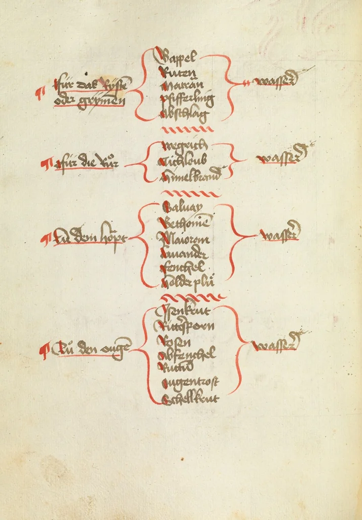 An illustration from Heinrich Steinhöwel, Büchlein der Ordnung der Pestilenz; Ulmer Wundarznei; Michael Puff, Von den gebrannten Wässern, 1450, leaf 308