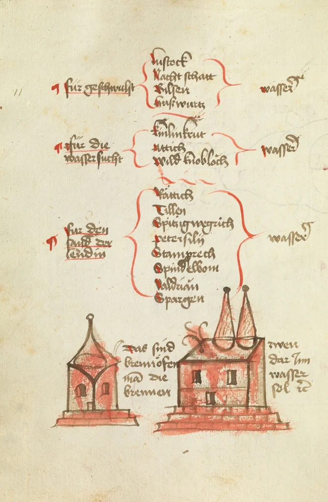 An illustration from Heinrich Steinhöwel, Büchlein der Ordnung der Pestilenz; Ulmer Wundarznei; Michael Puff, Von den gebrannten Wässern, 1450, leaf 310