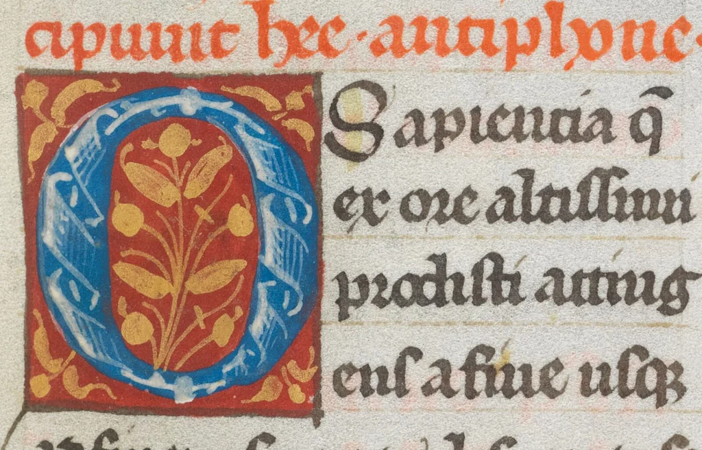 An illustration from Breviary of Jost von Silenen, <i>pars hiemalis</i>, 1493, leaf 279