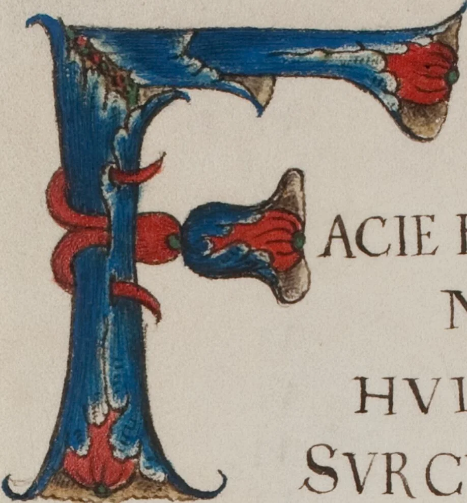 An illustration from Matriculation Register of the Rectorate of the University of Basel, Volume 1 (1460-1567), 1460, leaf 429