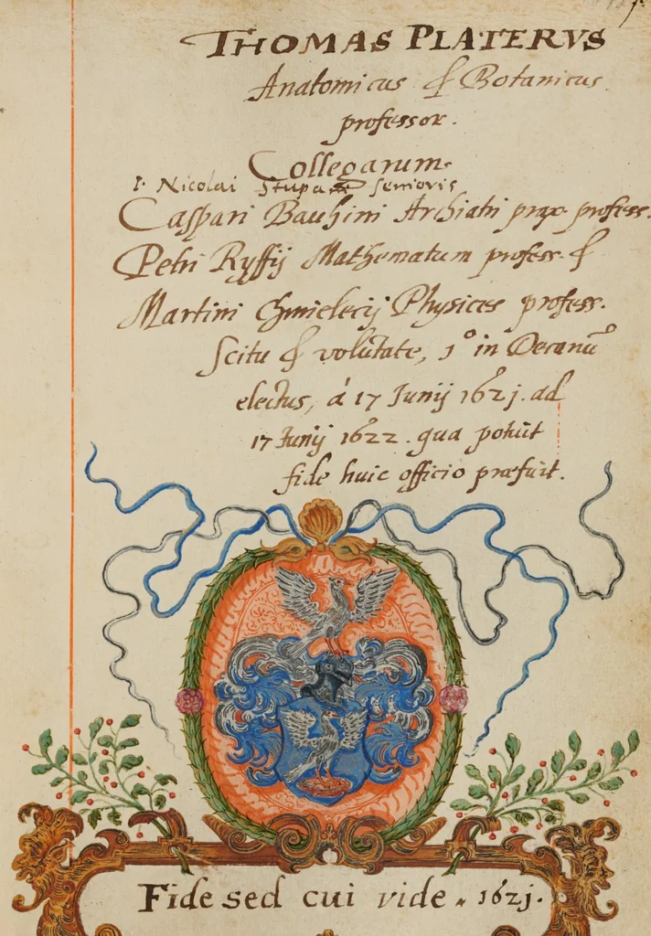 An illustration from Matricula facultatis medicae I, 1559-1800, 1559, leaf 137