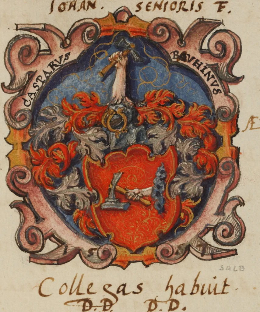 An illustration from Matricula facultatis medicae I, 1559-1800, 1559, leaf 75
