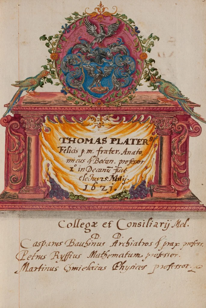 An illustration from Matricula facultatis medicae II, 1570-1814, 1570, leaf 61