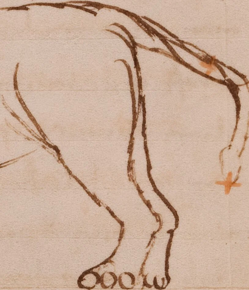 An illustration from Claudii Caesaris Arati Phaenomena, 850, leaf 51
