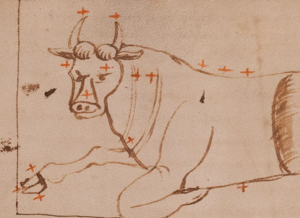 An illustration from Claudii Caesaris Arati Phaenomena, 850, leaf 56