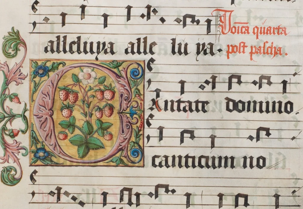 An illustration from Graduale de tempore, 1556, leaf 441