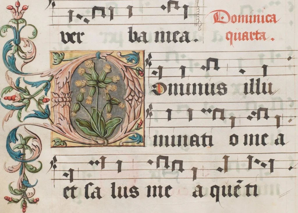 An illustration from Graduale de tempore, 1556, leaf 510
