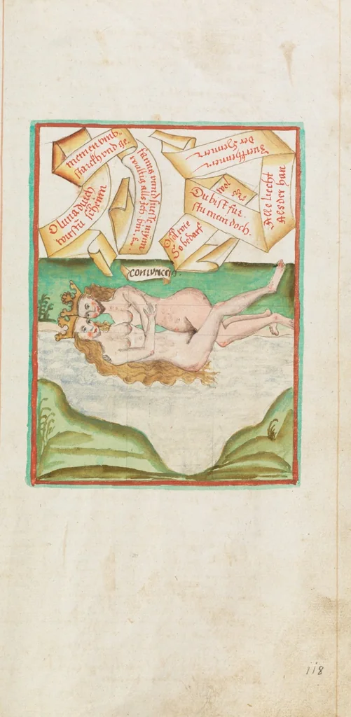 An illustration from Composite manuscript with alchemistic treatises, 1593, leaf 243
