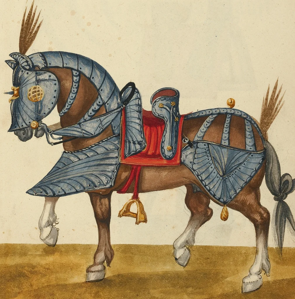 An illustration from Tournament Book, 1560, leaf 11