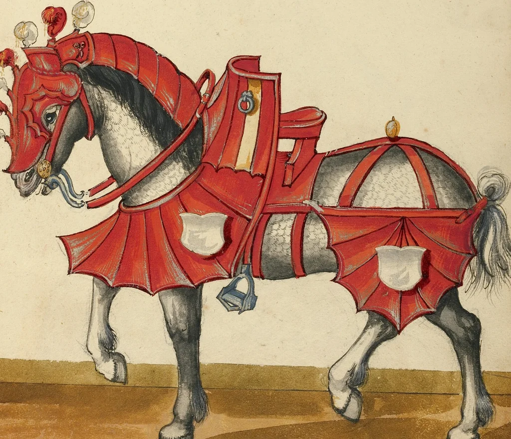An illustration from Tournament Book, 1560, leaf 8