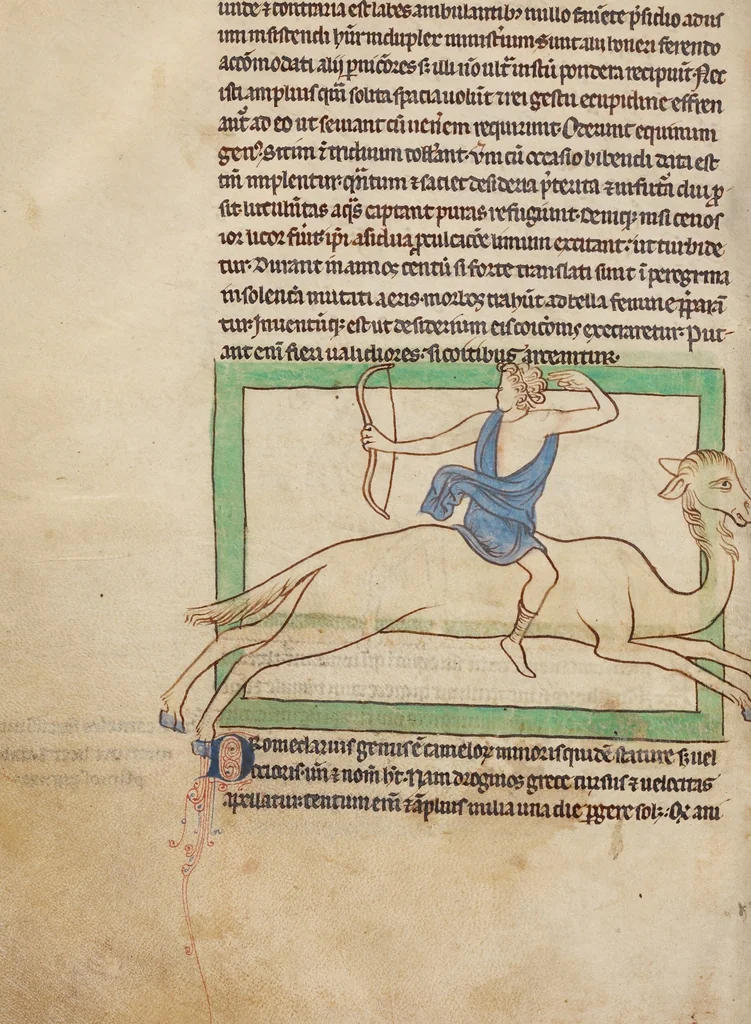 An illustration from Northumberland Bestiary, 1250, leaf 14