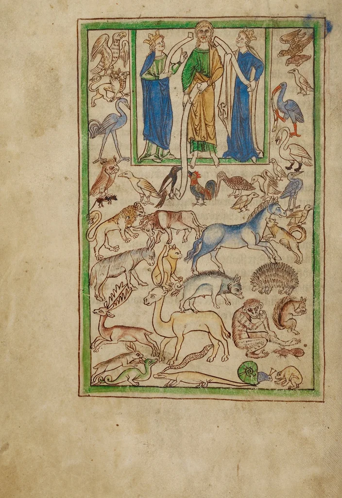 An illustration from Northumberland Bestiary, 1250, leaf 49