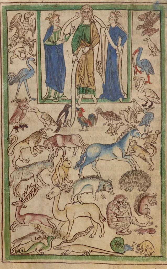 An illustration from Northumberland Bestiary, 1250, leaf 50