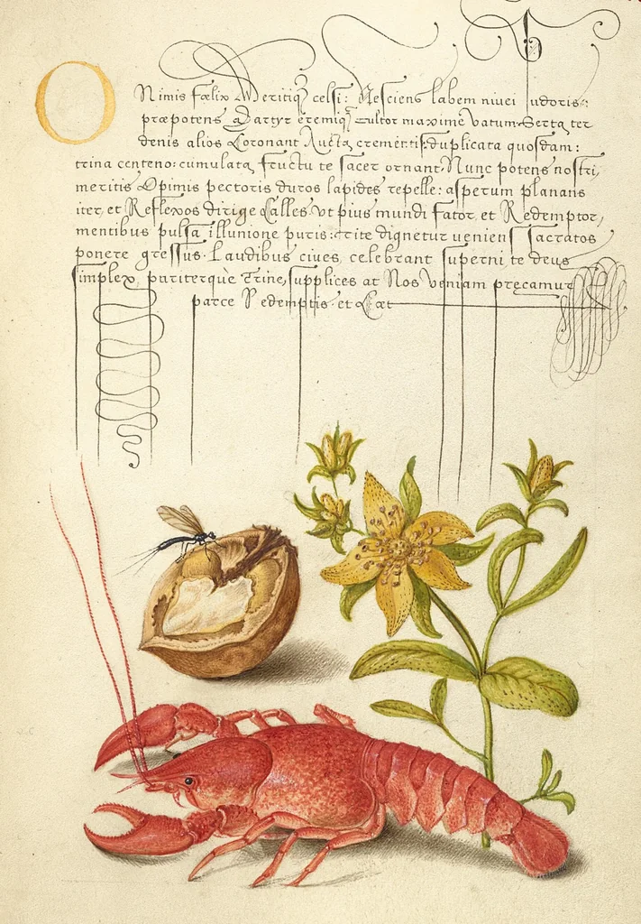 An illustration from Mira calligraphiae monumenta, 1561, leaf 115
