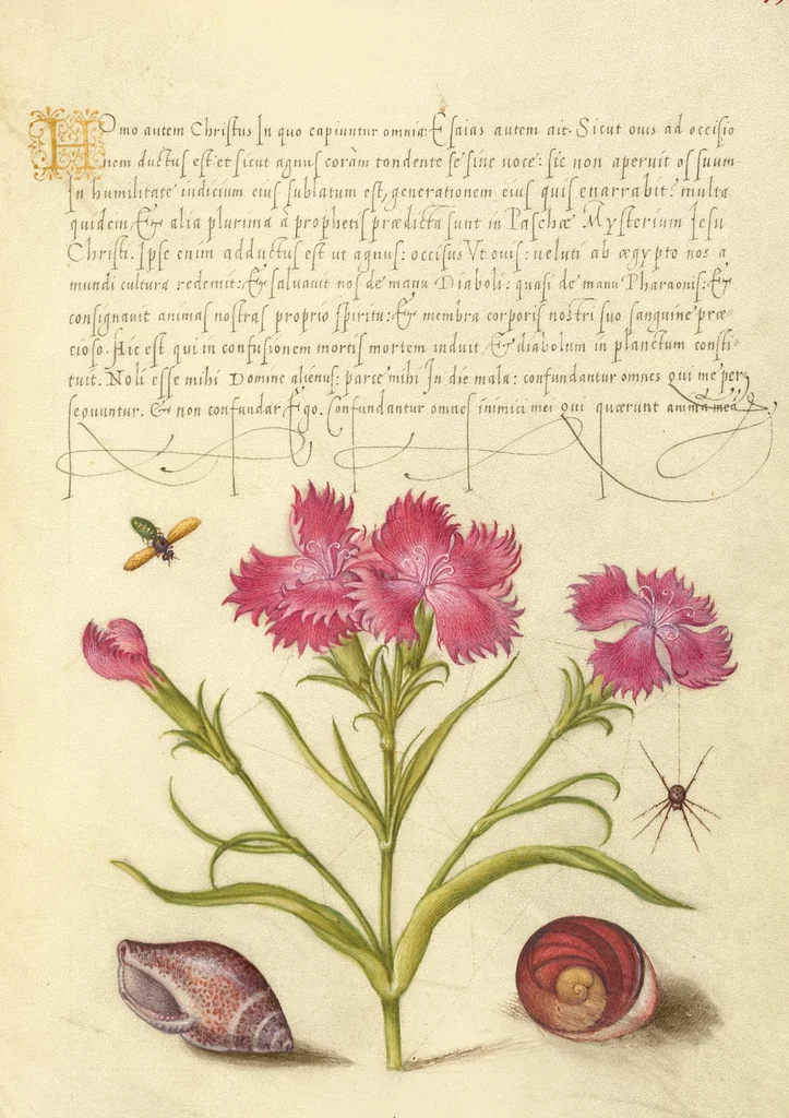 An illustration from Mira calligraphiae monumenta, 1561, leaf 117