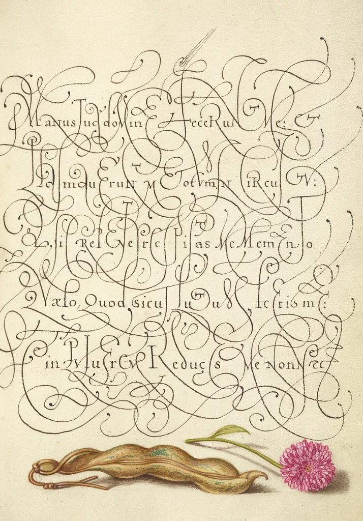 An illustration from Mira calligraphiae monumenta, 1561, leaf 123
