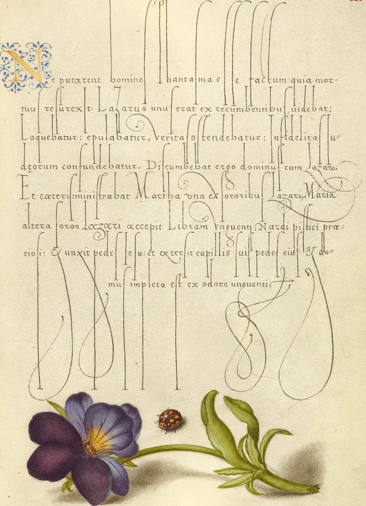 An illustration from Mira calligraphiae monumenta, 1561, leaf 125